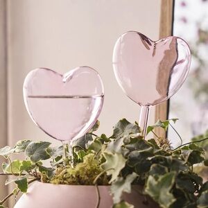 New Terrain Heart Watering Globes, Set of 2